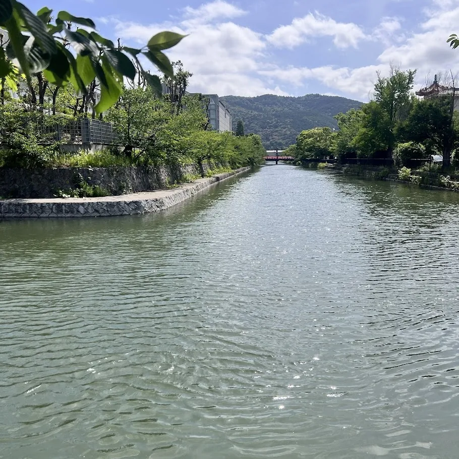京都・疏水沿いの癒される景色