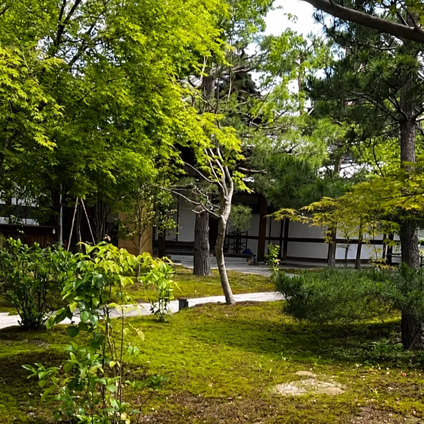 高台寺の庭園