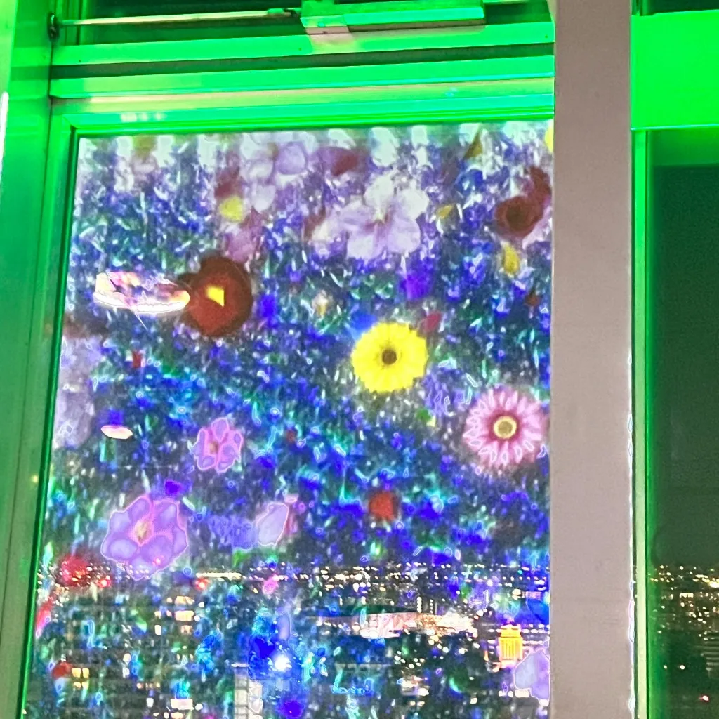 夜景を背景にした美しい花の映像